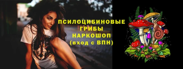 прущие грибы Баксан