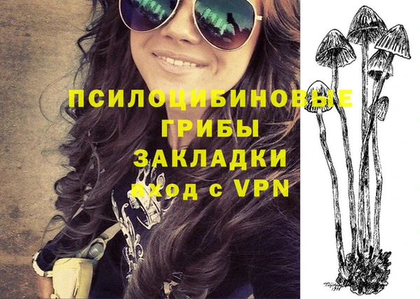 гидропоника Балабаново