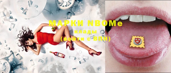 прущие грибы Баксан